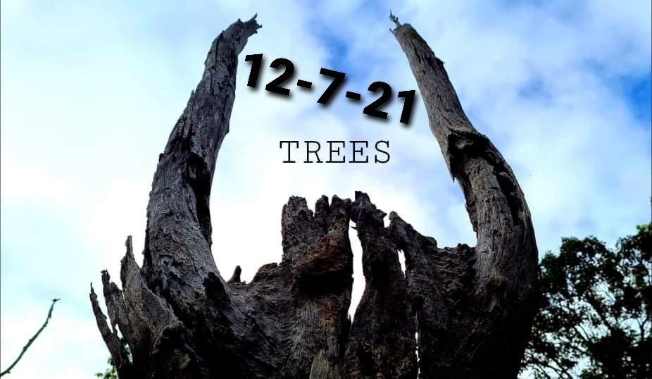 ATechVP's tweet photo. Our next release will be a Music Video! 'Trees' will come out on 12th July!
#trees #MusicVideo #experimental #ATechVP https://t.co/14E0HVIdFP