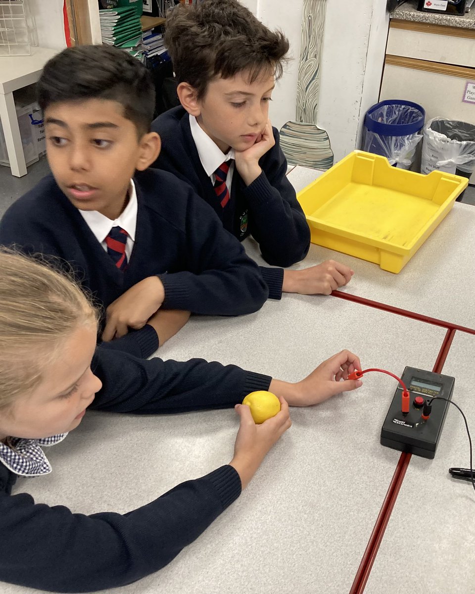 Sonning Church of England Primary School tweet media