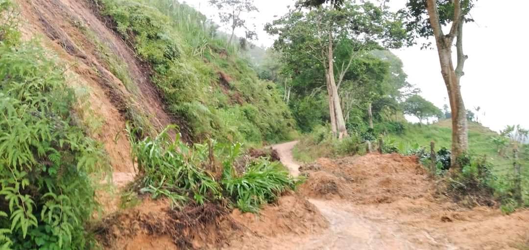 Noticiasalsur1's tweet photo. #AlertaInvernal Por fuertes lluvias en los municipios de Baraya, San Agustín, Palestina, Pitalito, Acevedo y Oporapa, se presentan remoción en masa, desbordamientos, deslizamientos, pérdida de bancada, taponamiento de vías y crecientes súbitas https://t.co/Bgt027r6RS @Luisedussan https://t.co/74Y8kAYT0w