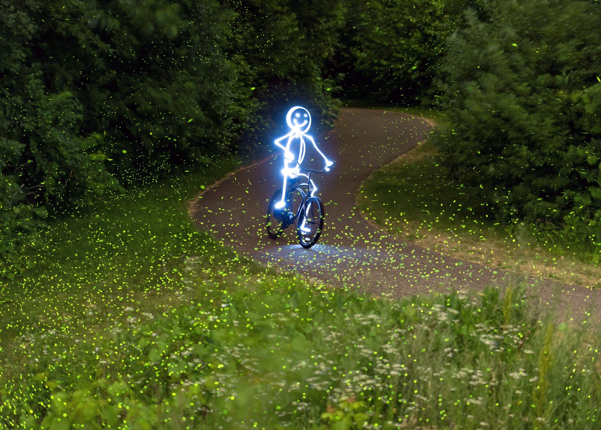 StimulightNight's tweet photo. Night Rider 🚲 This light person was ecstatic to be biking down a winding path full of fireflies on a warm summer evening. 🌟

🔺 117 frames
🔺 30 seconds⁣ each
🔺 f/2.8
🔺 ISO 500
🔺 Sigma 70-200mm @ 105mm

#fireflies #lightningbugs #fireflywatch https://t.co/1AmBYNIVxZ