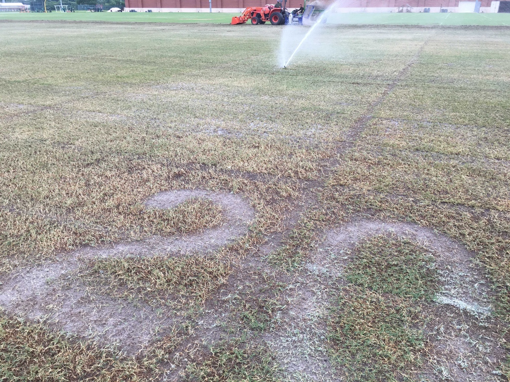 SFSturf_pros's tweet photo. Fresh fraise mow out on the @BUfootball practice field!  #SicEm #grass #maintenance #collegefootball https://t.co/weqWPyv70I