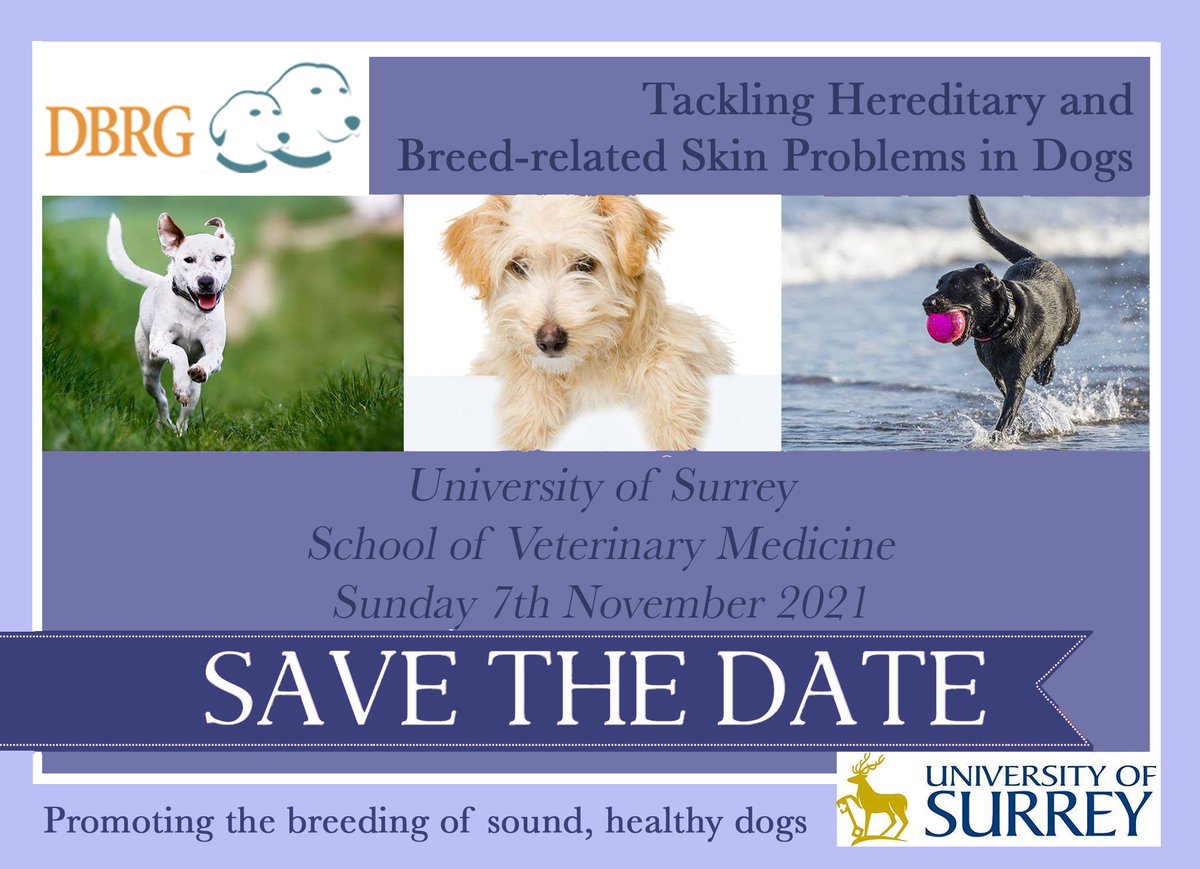 DogBRG's tweet photo. This year's #DogBreedingReformGroup's symposium, at the University of Surrey, will be taking place  Sunday, 7th November 2021.  This year's programme is 'Tackling Hereditary and Breed-related Skin Problems in Dogs', 

Purchase your ticket here: https://t.co/m8fnzL8718 https://t.co/UTxe7zwb97