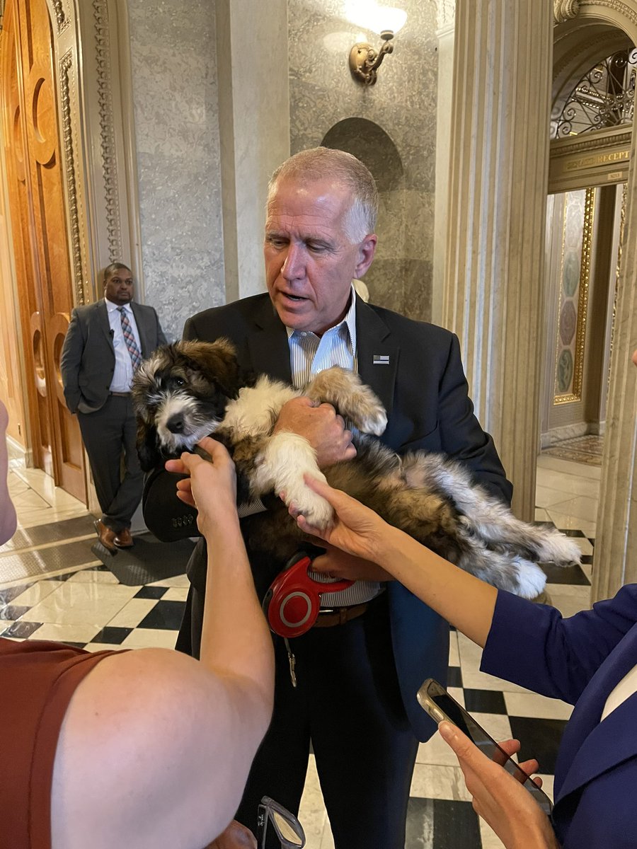 AndrewDesiderio's tweet image. .@SenThomTillis introduces us to Theo, named after Roosevelt

“I name all my dogs after conservatives”
