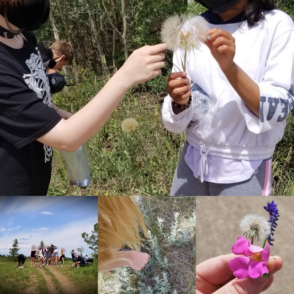 We had a beautiful afternoon walk for #RockYourRoots. We painted 215 rocks to honor the children found in Kamloops, + one to represent ourself and dispersed them on our walk. Back in class we wrote down our own commitments to truth and reconciliation. <a href="/SchoolLakeridge/">Lakeridge School</a>