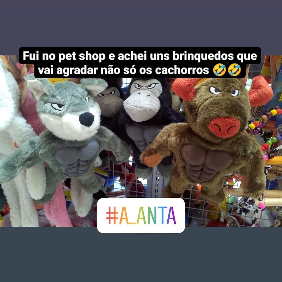 A_Anta's tweet photo. Certeza que vai agradar alguns fora do nicho desse brinquedo 🙈🙊
Dá para escolher entre boi, lobo ou gorila bombadinho...
#anta #mascote #a_anta https://t.co/VD0swvH3mM