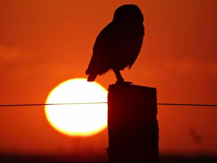 Tranquila esperando que vuelva la actividad <a href="/urucureoficial/">Uru Cure Rugby Club</a>