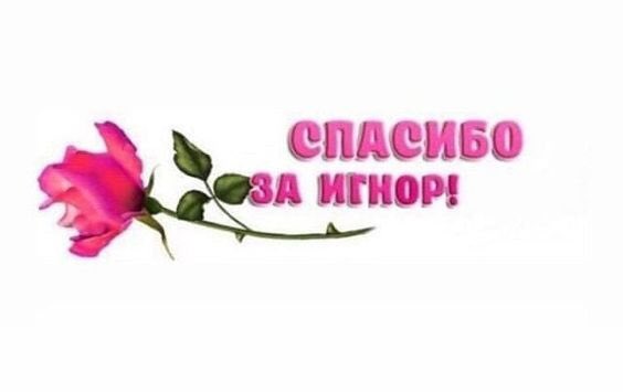 qiroong's tweet photo. норм игнорить меня 4 часа. https://t.co/JIwG8xnA0V