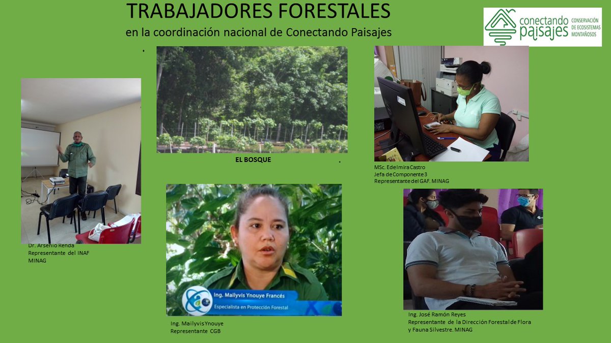 Homenaje de #ConectandoPaisajes a sus #TrabajadoresForestales 
@GAF @CUBAINAF @MINAGCuba @AMA_CUBA @theGEF @padron_johan @PNUDCUBA