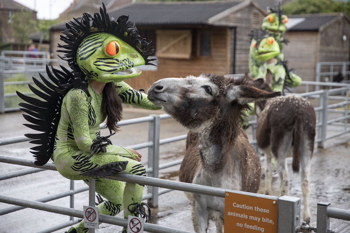 GB Carnival tweet media