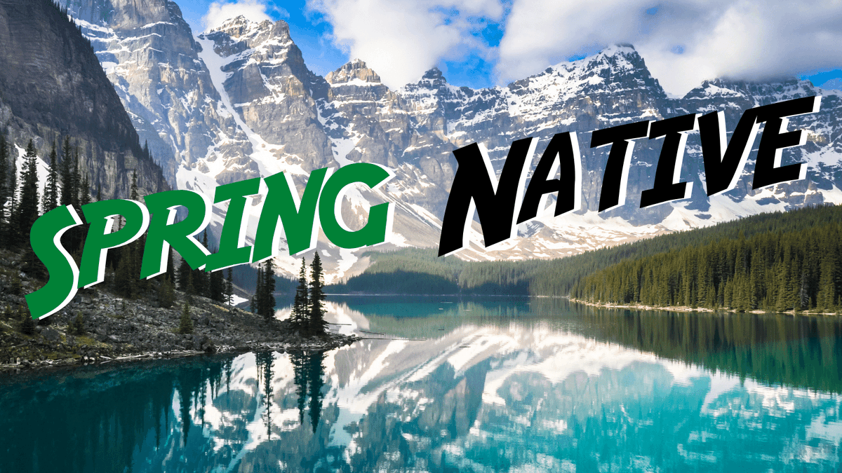 mraible's tweet image. Tomorrow at 12pm MDT, @briandemers and I will be live-streaming on @Twitch with @starbuxman to try and fix the @okta Spring Boot Starter so it works with native. 

Got questions about Spring Native? Join us!

📺 twitch.tv/oktadev

#springnative #oktadev