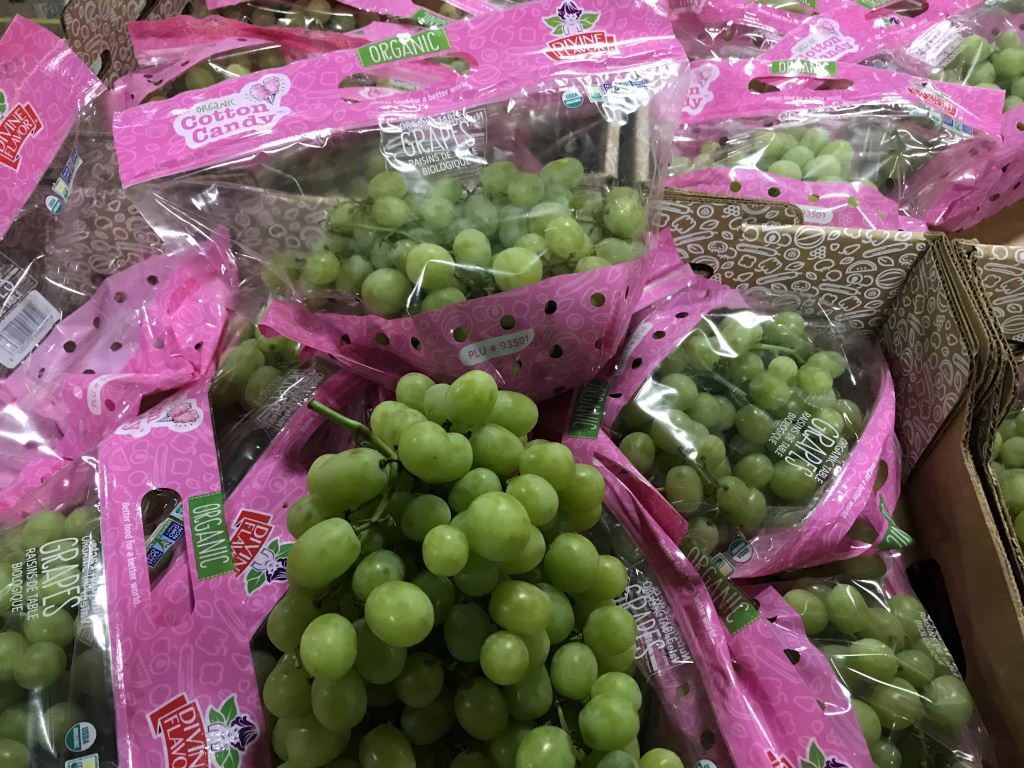 FSProduce's tweet image. More delicious Organic High Flavor Grapes just arrived:  “Jelly Berry” purple-black color bursting with grape jam flavor – “Candy Heart” red color with fruity-sweet Muscat flavor – “Cotton Candy” green-amber color with sticky-sweet cotton candy notes to the taste.