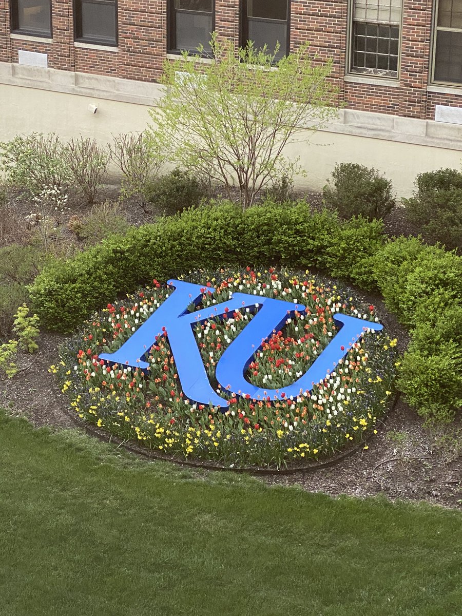 KUMC_GME's tweet image. NEW KU Residents and Fellows- tell us what your excited about for your New Resident/New Fellow orientations, getting to do in your new #KUGME program or #exploringKC! New #KUResidentsFellows that comment below will have their names entered for a $15 Panera gift card!