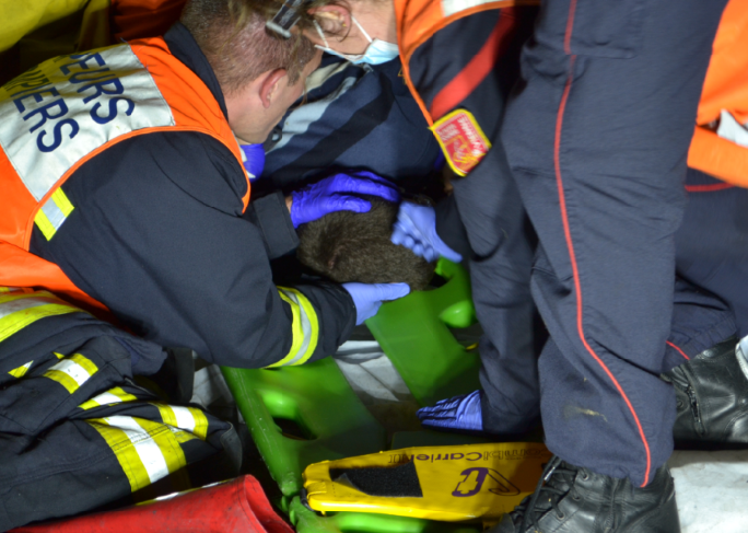 Nikal_ECGE's tweet photo. 🆘Tout ceci n'est qu'une #simulation de secours routier.🆘
Un seul et unique objectif : L'amélioration des performances.
@CHU_de_Poitiers @sdis86 @UnivPoitiers #ABSLab #SAMU86 https://t.co/qpmDbsCKKu