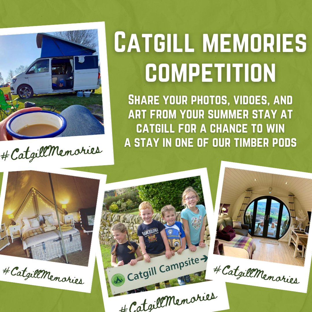 Catgill Farm tweet media