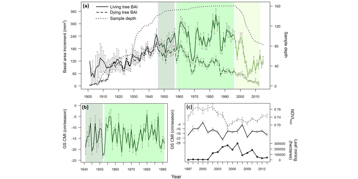 ESAEcosphere's tweet photo. From our #Macrosystems Ecology track:
Drought-weakened #aspen succumb to an insect #herbivore outbreak in Alaska - a possible taste of what's to come with #ClimateChange
#OpenAccess @Boyd_M_A @logan_berner @EcossNau @M_C_Mack @LadyFortran @WalkerXJ
https://t.co/Gr8CAaXHVS https://t.co/cJFtNNbvW5