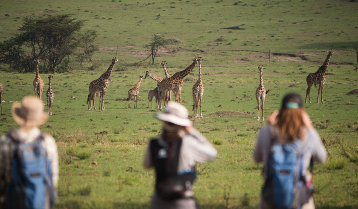 Today is #WorldGiraffeDay🦒As the tallest mammal on Earth, these creatures are both weird and wonderful with their long legs and necks, large eyes, striking coat patterns, ambling gait &amp; calm demeanor. Check out these 10 amazing giraffe facts: hubs.li/H0QHDdN0