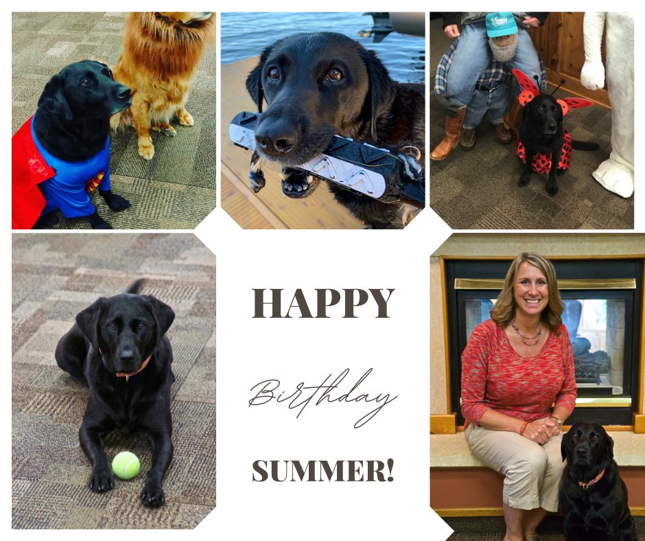 AutumnTransport's tweet photo. Happy 11th birthday to our furry friend and the official Autumn office greeter Summer! https://t.co/6qmSXMz8ZF