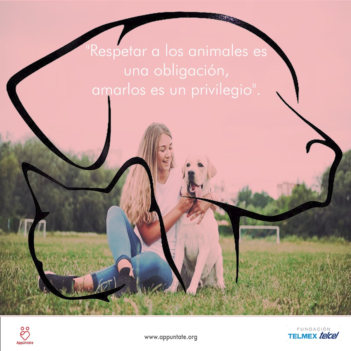 ¡Respetemos a todos los seres vivos! 🐶🧡