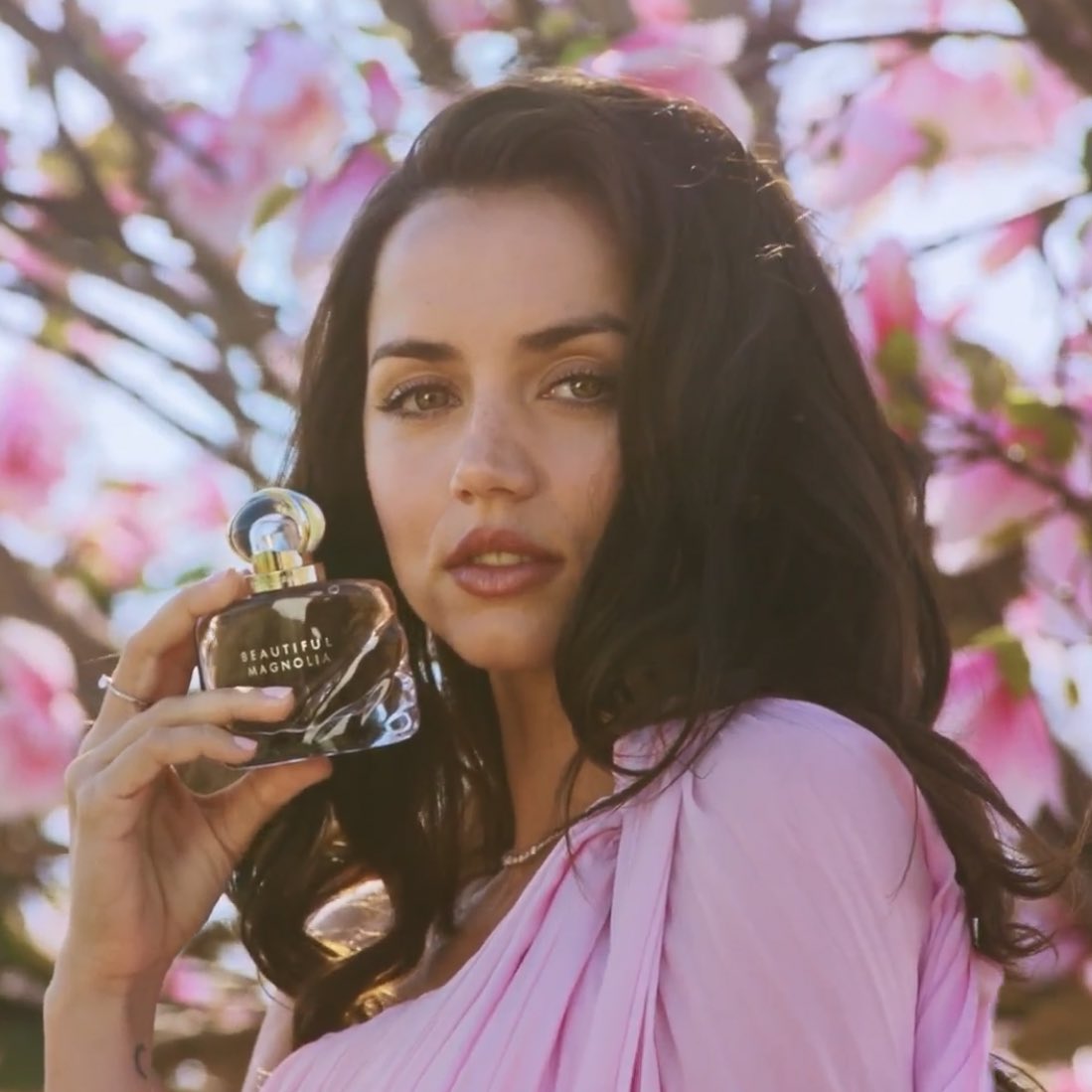 Please I am on my knees 😭💖