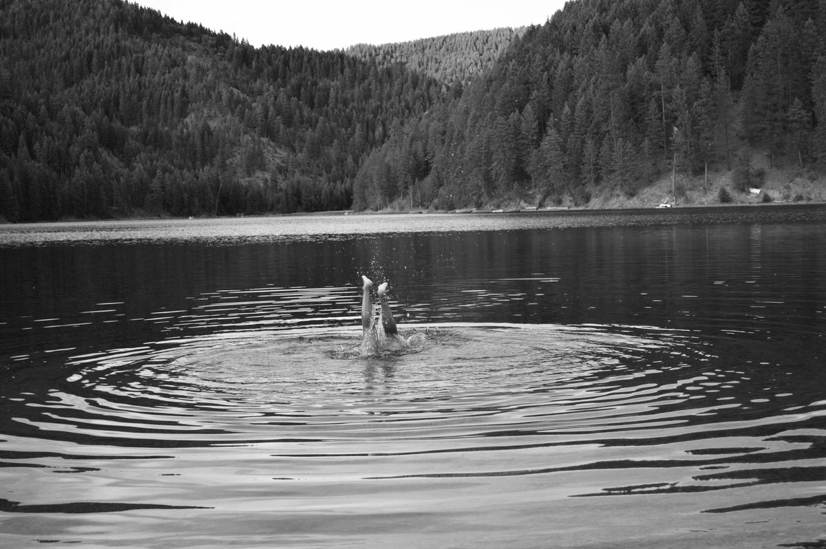 Wisdom from <a href="/GinaRaeLC/">GinaRae LaCerva</a> during our nature writing course: “Our knowledge of the universe will always remain incomplete and there is value in this incompleteness...We are not in control, we are merely in relationship. Let us follow the mystery of our own wild nature.”