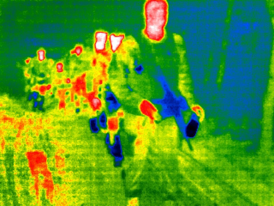 jbmoorephoto's tweet photo. Texas National Guard soldiers assist migrants from slipping on the bank of the Rio Grande as they set foot into the United States. These nighttime photos were made with a thermal camera, which creates images from heat. #gettyimages #gettyimagesnews #thermalcamera #Immigration https://t.co/o8V08V6qw8
