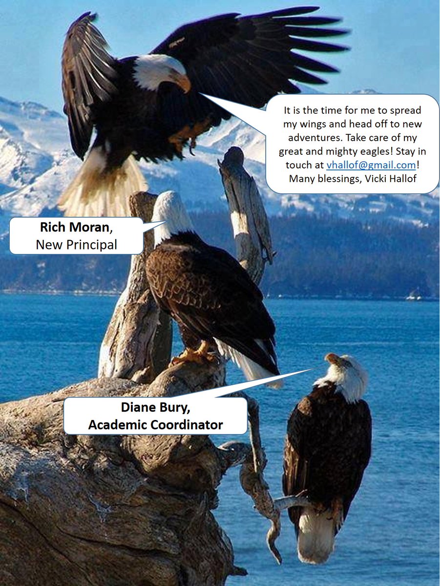 Mintie White School (@mintie_white) on Twitter photo 