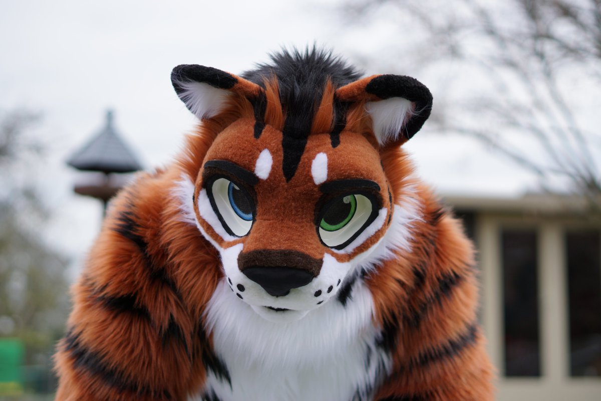 I heard something called #ShowYourStripesDay is happening? That's for stripey-cats, right? Right?
...
Tigers, assemble!
Suit by @AlphaDogsStudio