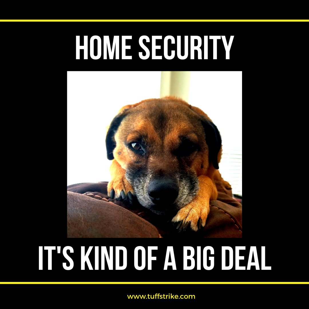 TUFF_STRIKE's tweet photo. Locksmith meme! Home security is a really big deal, and something often underdone. Find ways to improve the overall security of your home and be mindful of potential weak points. 
#locksmithmeme #dogsofinstagram #tuffstrike #homesecurity #doorhardware #dogmeme #securitymeme https://t.co/I8MYyXFVQ1