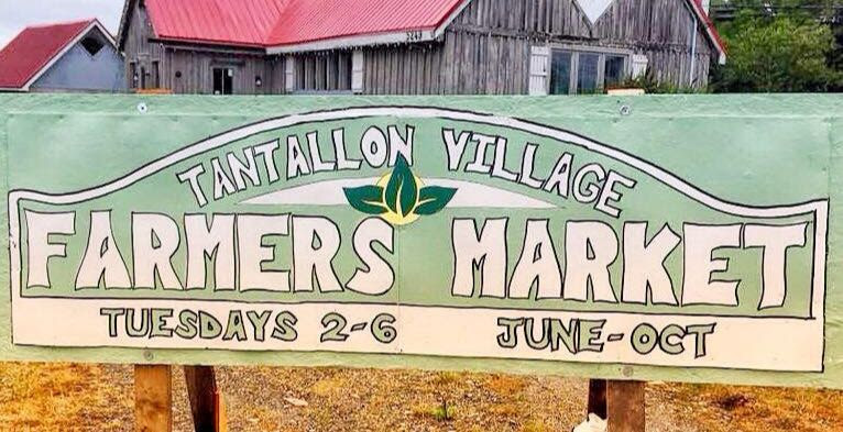 MarketFreshNS's tweet photo. This market is a community space where friends and families gather and enjoy life on the Bay! Open Tuesdays June-October.
📷: Tantallon Farmers' Market #marketfreshns #farmersmarketfeature #tantallonns #tantallonfarmersmarket #novascotia #buylocalns https://t.co/YprJeWHyt9