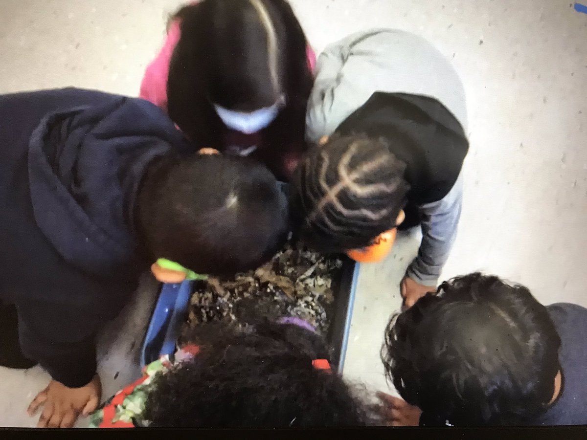 Joyce Public School (@tdsb_joyceps) on Twitter photo Two great virtual celebrations today honouring SK students transitioning to grade 1! <a href="/tdsb/">Toronto District School Board</a> <a href="/shelleylaskin/">Shelley Laskin π¨π¦</a> <a href="/denisehLN04/">StudentAchievementandProgram</a> Two great virtual celebrations today honouring SK students transitioning to grade 1! <a href="/tdsb/">Toronto District School Board</a> <a href="/shelleylaskin/">Shelley Laskin π¨π¦</a> <a href="/denisehLN04/">StudentAchievementandProgram</a>