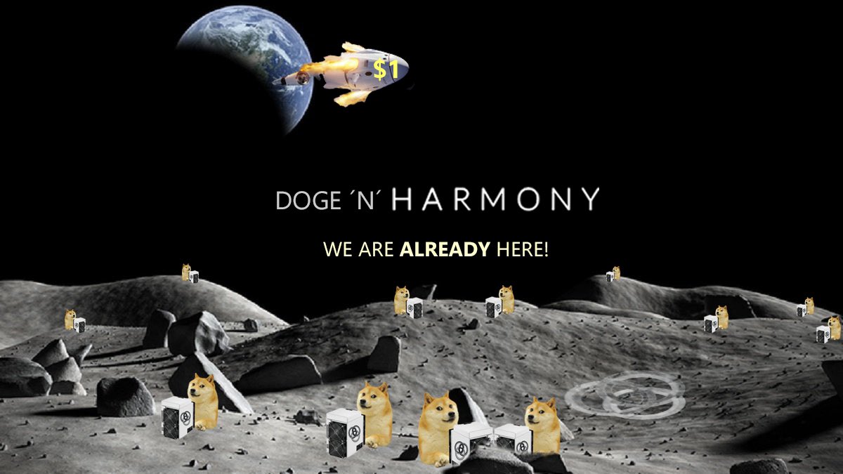 DogecoinNorway's tweet photo. @elonmusk Doge &amp; Harmony Elon👊👀 https://t.co/uMR4NWLCmA
