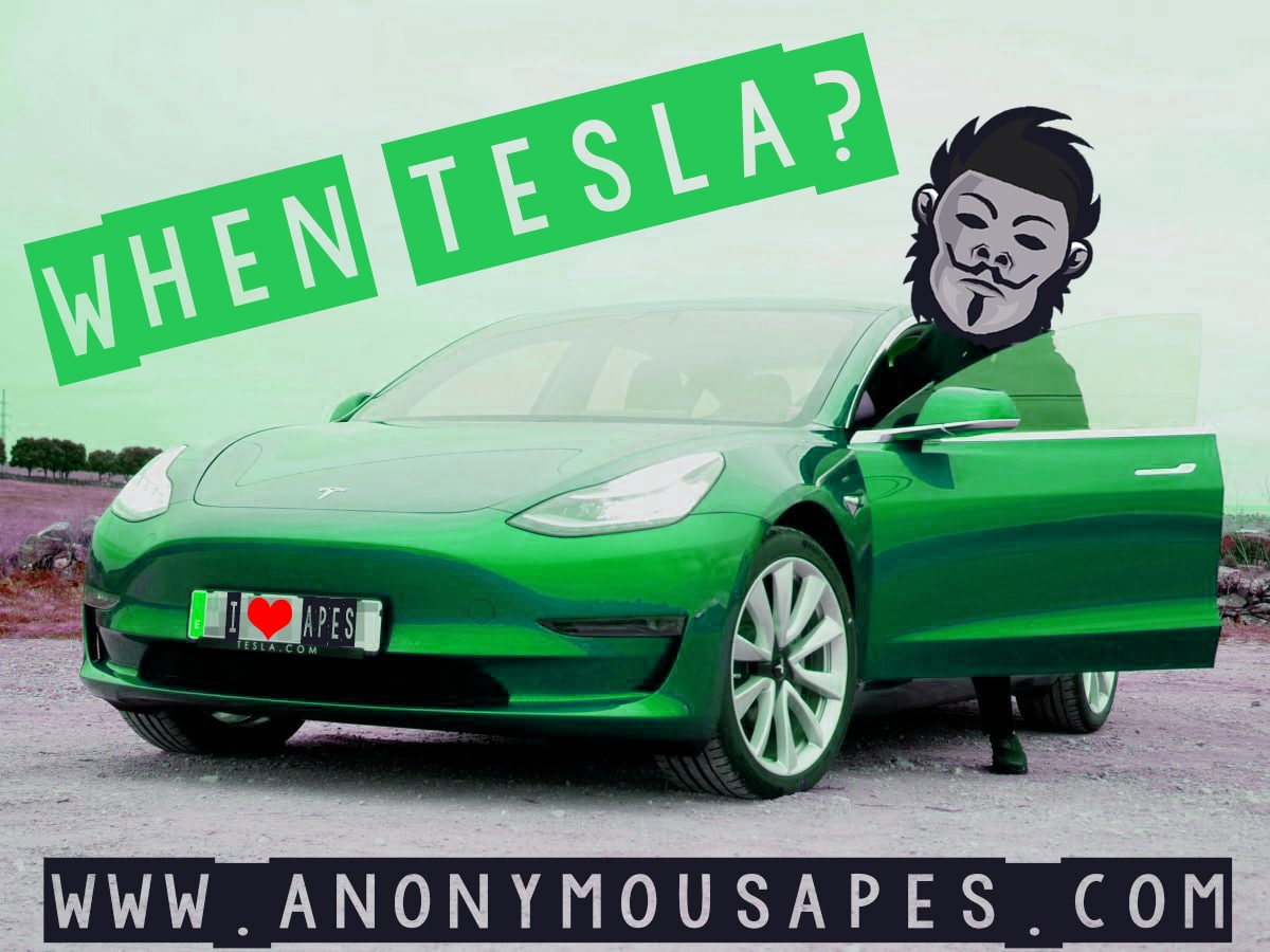 AnonymousApesOf's tweet photo. @elonmusk Hey, @elonmusk. How many apes can you fit in a Tesla? 🤔

#toTheMoon #AA #AnonymousApes #Tesla #ElonMusk #bsc #Crypto https://t.co/ZzziZCdYxj https://t.co/XIATkr3xYl