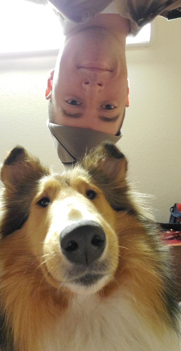 reveille's tweet photo. HOWDY! Just celebrating #NationalSelfieDay! 📸 https://t.co/kqSMFSaoOo