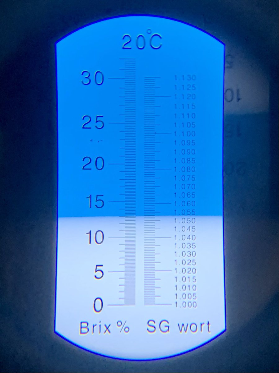 PachaBeer's tweet image. Nueva Hazy Strong Pale Ale (BA-2020BSG-GI-E)!!! D.O.: 1053, sin lúpulo en el lado caliente y técnica de dip hopping. A fermentar... 🍻!!!!