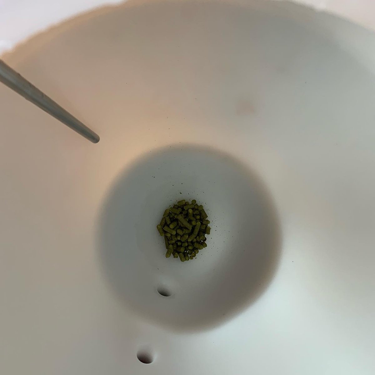 PachaBeer's tweet image. Nueva Hazy Strong Pale Ale (BA-2020BSG-GI-E)!!! D.O.: 1053, sin lúpulo en el lado caliente y técnica de dip hopping. A fermentar... 🍻!!!!