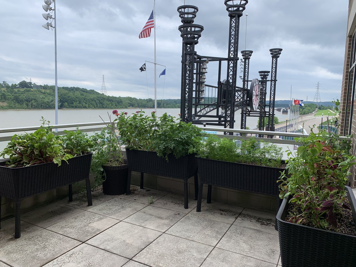 shyratedesco71's tweet photo. Ivy Tech Lawrenceburg Terrace Garden survived the weekend storms.  We have peas and radishes for the Clearinghouse food pantry and the zinnias are starting to bloom. https://t.co/W740Pr9vDk