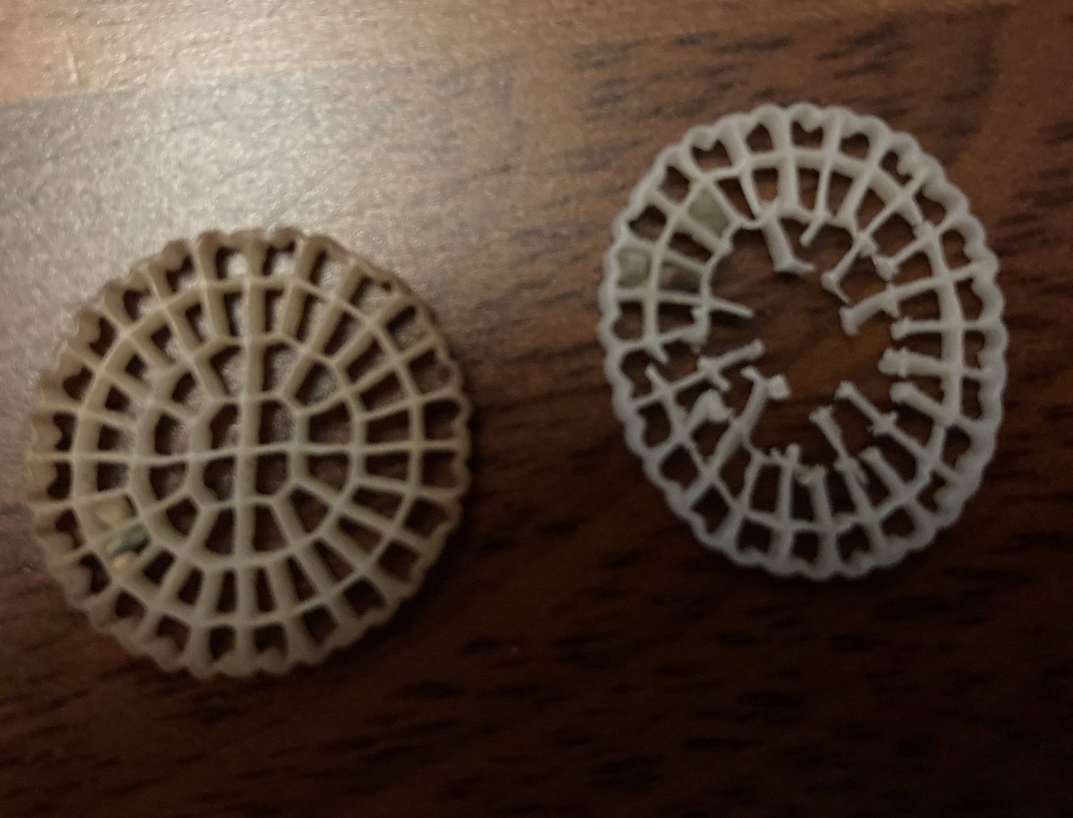 Hola <a href="/residuscat/">Agència de Residus</a> sabeu què pot ser això? N’hem recollit més de 50 de la platja de Sa Tuna i S’eixugador té la mida d’una moneda 
<a href="/AjBegur/">Ajuntament de Begur</a>