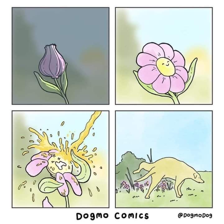 carjuas's tweet image. #CriptoPoder

Todo está lindo hasta que entro a Twitter.

No dan respiro alguno.