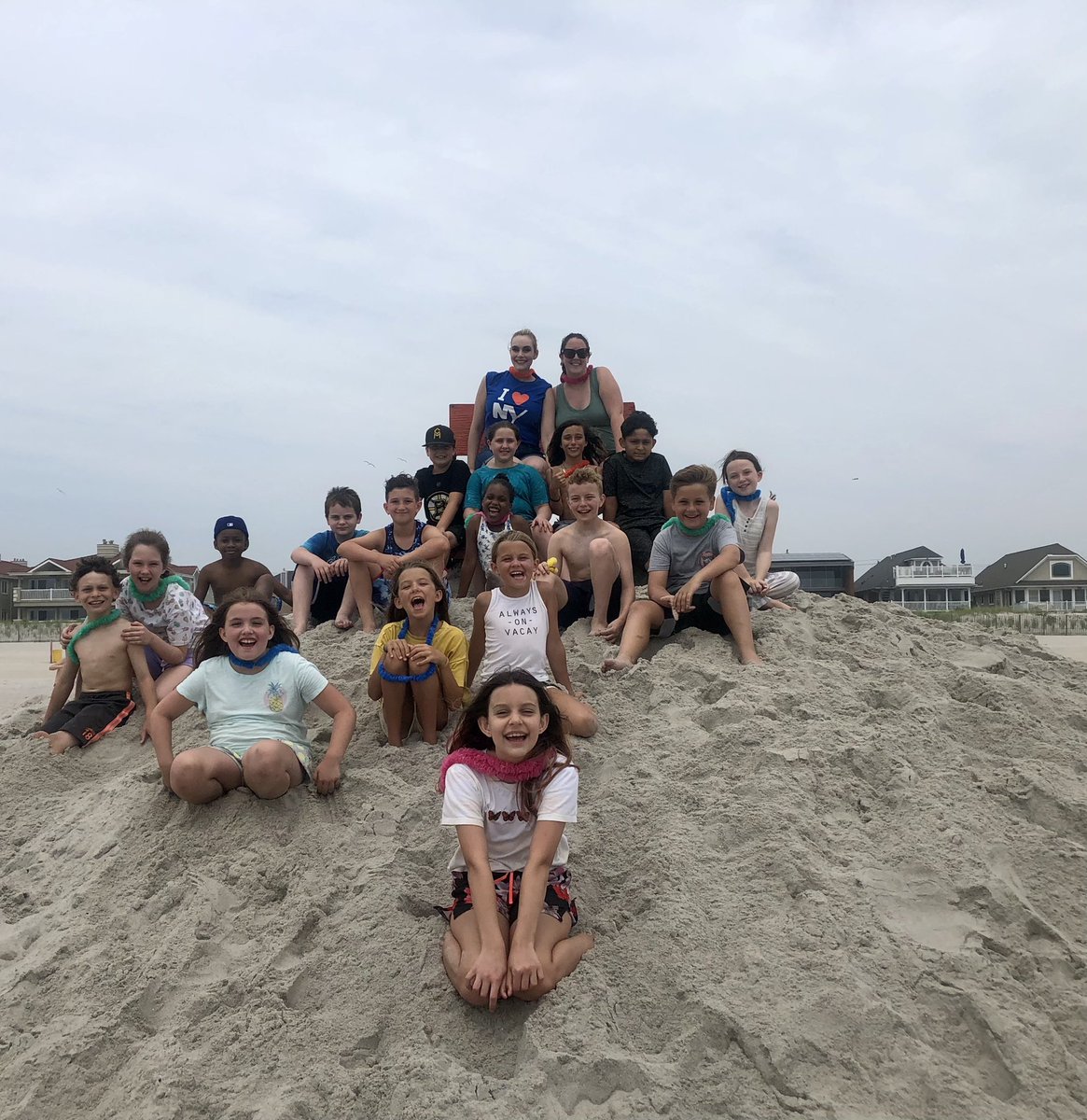 Dana Wachter tweet media