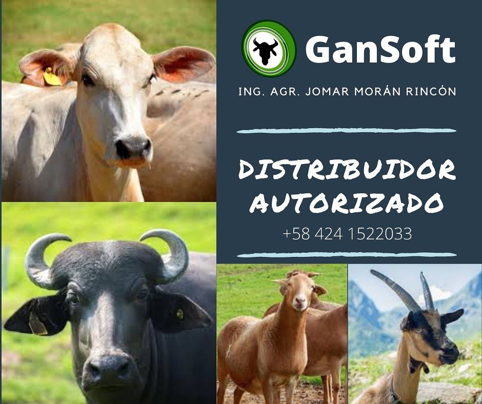 moranjomar's tweet photo. #GanSoft https://t.co/AGr6zFBfyD