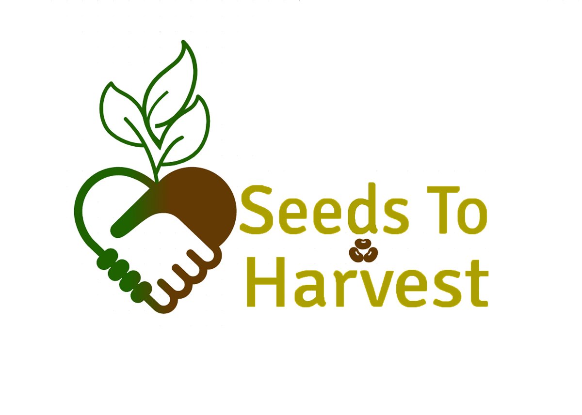 Text seed. Text seed