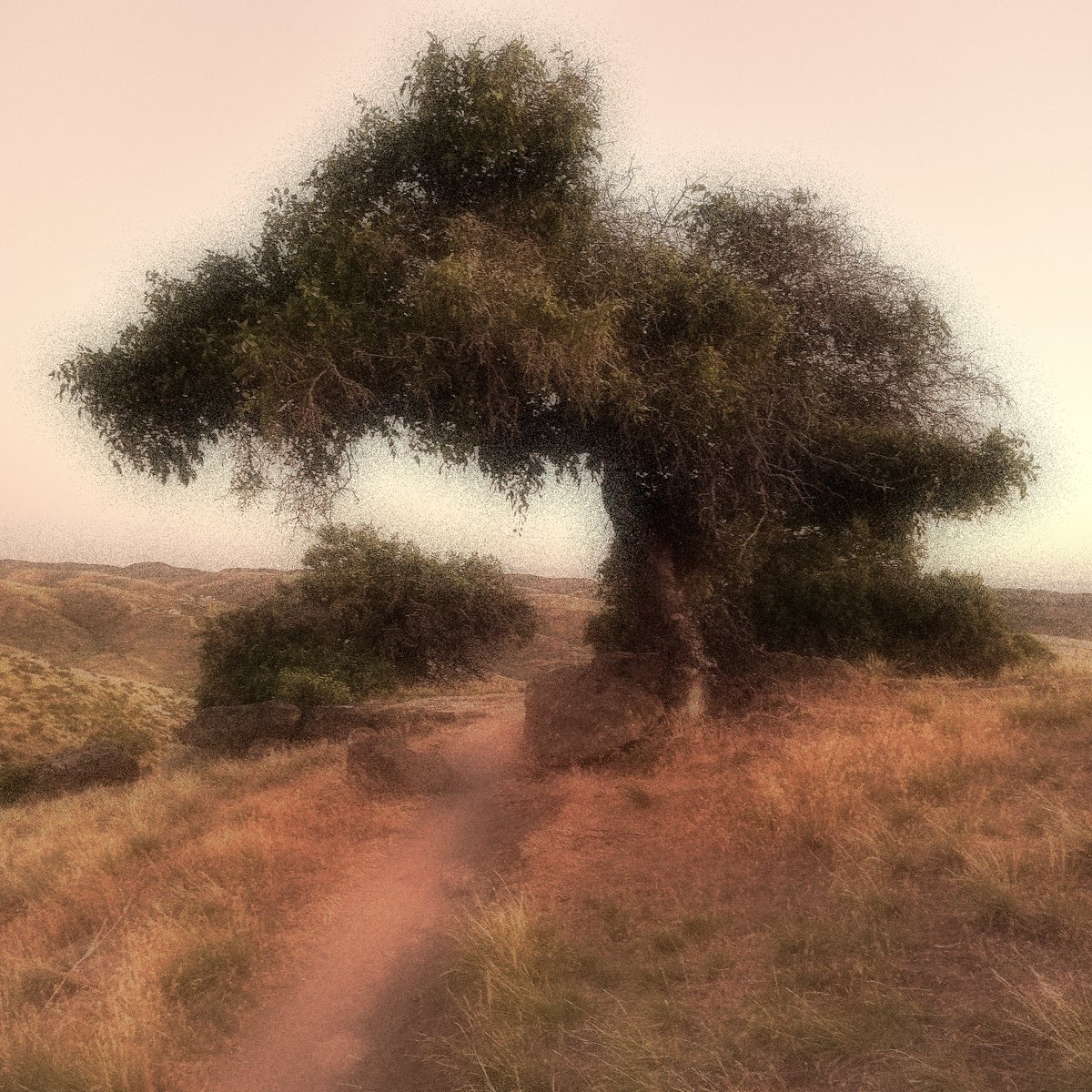7lostinthewoods's tweet photo. "When the traveler is ready, the path will appear."
🖋Anonymous https://t.co/fPbKA2hC6Y