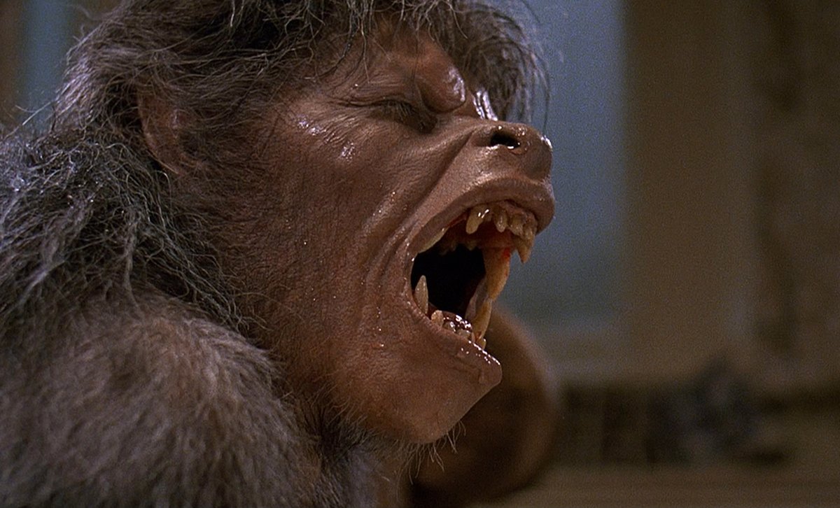 ScriptsClaudio's tweet image. Hello, #horrorfans and #scriptwriters Over the past years the horror feature trends are zombies, ghosts, and cults. What monsters would you like to bring back?
#horrormovies #monstermovies #horrorscreenplay #horror #goremovies #cultmovies