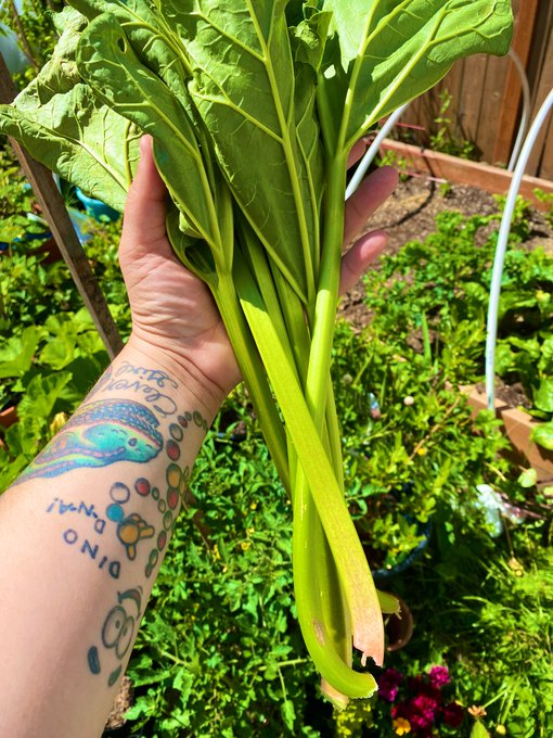 Watch 🌈 kezia slater💘's leaked NSFW photo on TwXstars