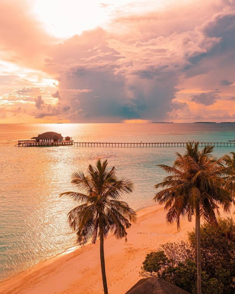 7SEASjewelrycom's tweet photo. In Maldives. you'll never meet a sunset you don't like ❤⁣
.
📷 by @icemanphotos⁣
⁣.
.
.
.
.
.
.
.
.
.
.
.
.
.
.
#maldives #travel #maldivesislands #visitmaldives #beach #maldivesresorts #nature #travelphotography #paradise #travelgram #sunset #oce… https://t.co/Xv3CQjLyxw https://t.co/Omj38MS1QY