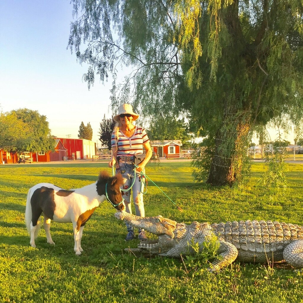 LocationConnect's tweet image. instagr.am/p/CQZKl3cHSN6/