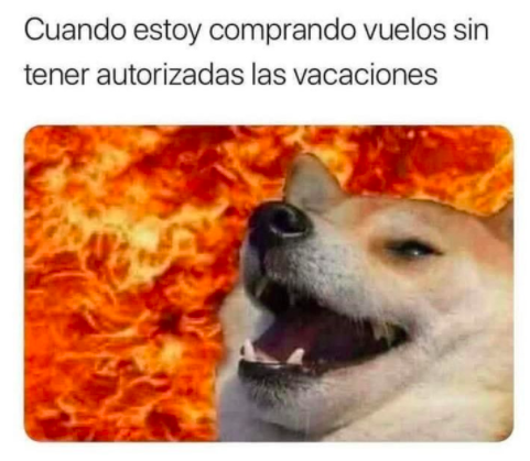 Sopitas tweet media