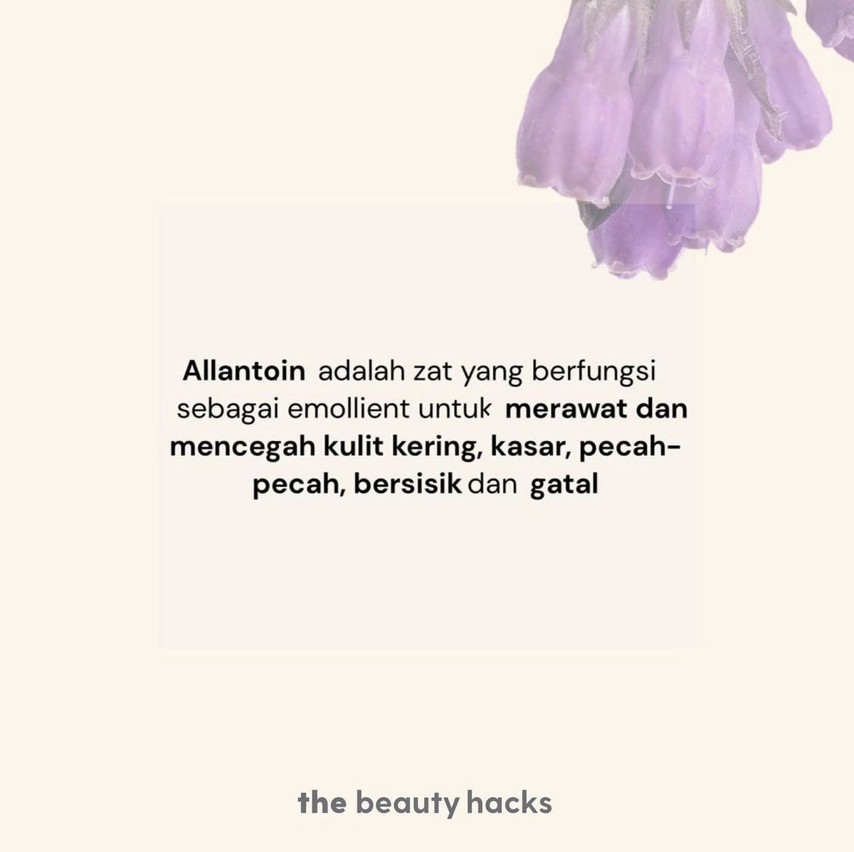 _TheBeautyHacks's tweet photo. Apa itu Allantoin?

Allantoin merupakan salah satu kandungan dalam produk skincare untuk menenangkan kulit.

Allantoin juga memiliki khasiat penyembuhan dan menenangkan kulit. Berabad-abad lamanya daun comfrey digunakan untuk membantu dalam menyembuhkan luka ringan dan bengkak. https://t.co/5DAt54YSUA