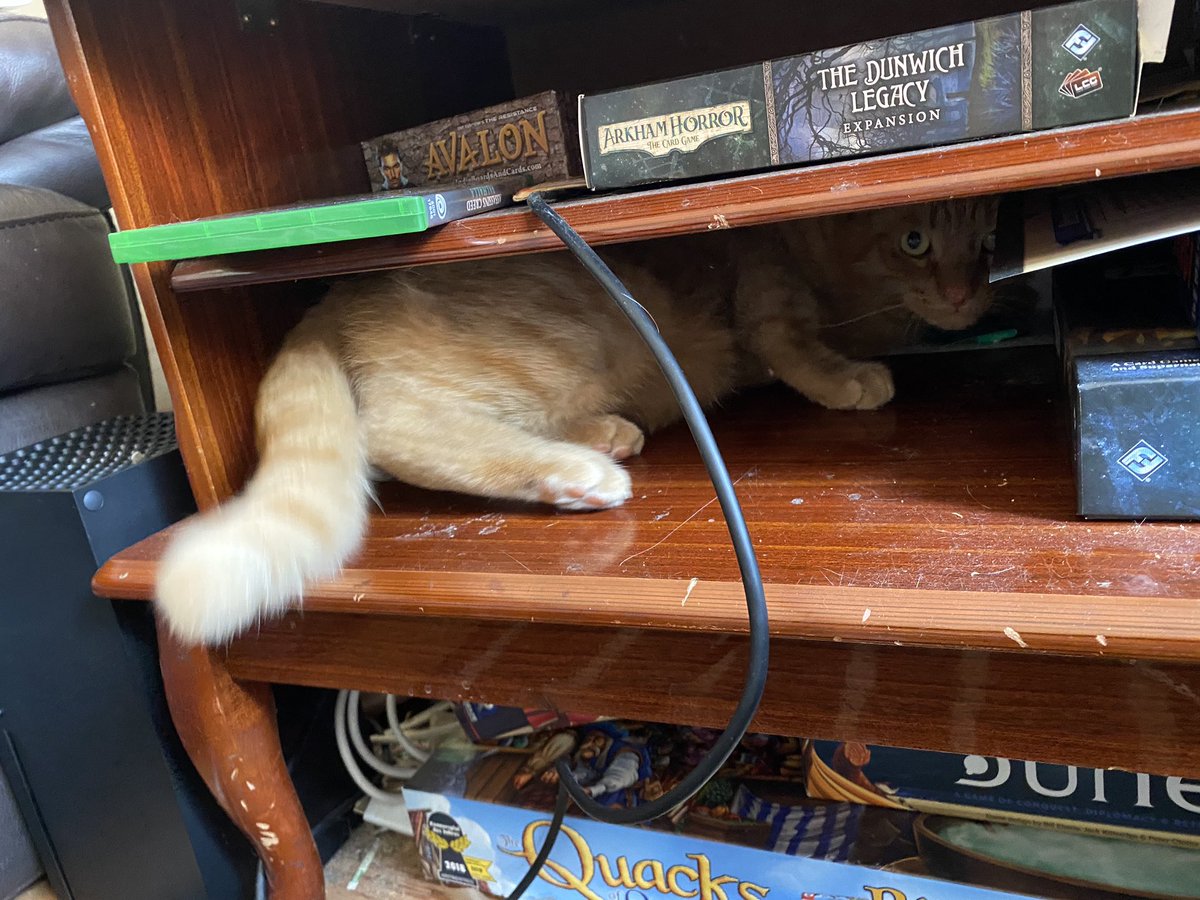 orangepeencat's tweet photo. go away dis my shelf 😡 https://t.co/BYSU9W22qt