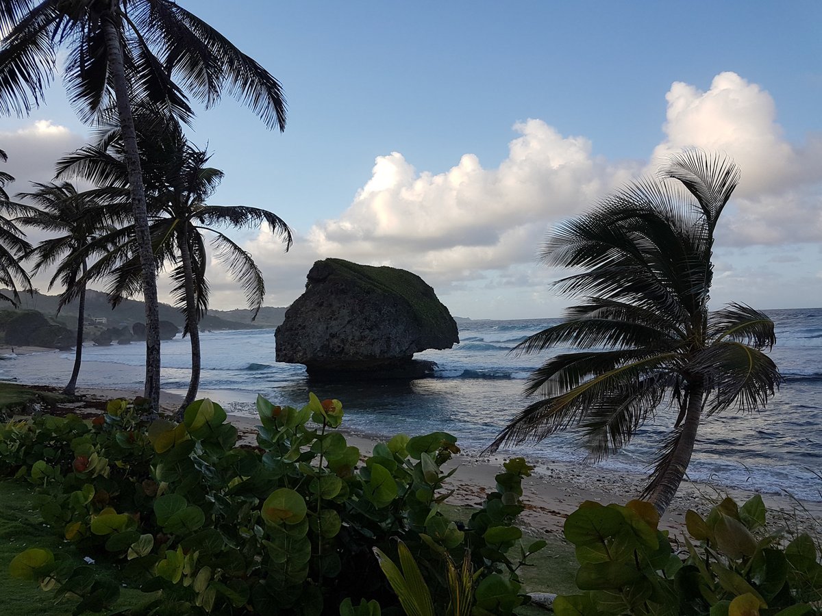 “Trips and vacations are so much more. These experiences show you what’s possible and challenge you to examine the paths you’ll take in the future.” – Blake Mycoskie. - Totally Barbados ( bit.ly/2A8Iupe ).